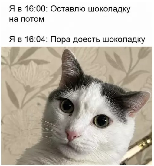 Картинки новые и старые, баяны и аккордеоны