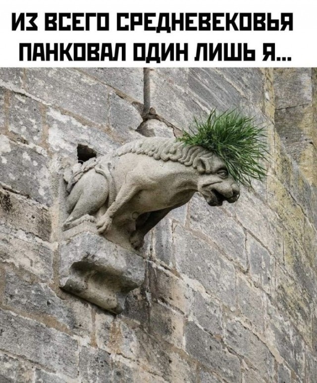 История одной косухи