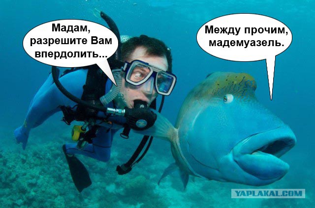Эй, мужик, да отстань ты от меня!