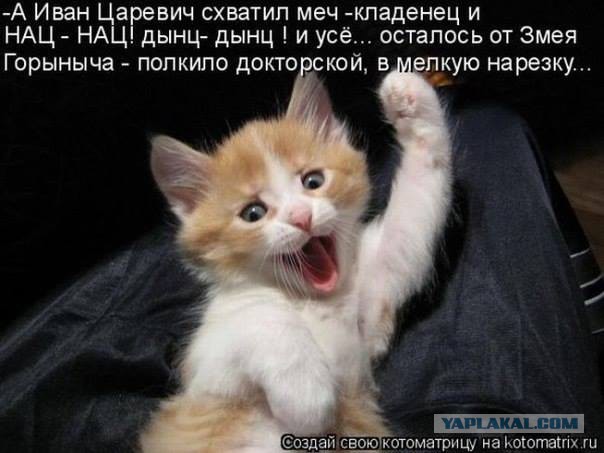 Котэ лучник