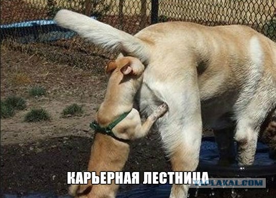 Белоруссия готова заменить Европу