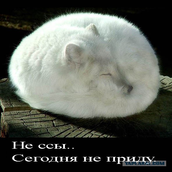 Обстрел в Мариуполе. 24.01.2015