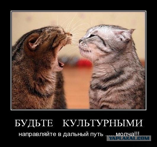 Демотиваторы вторника