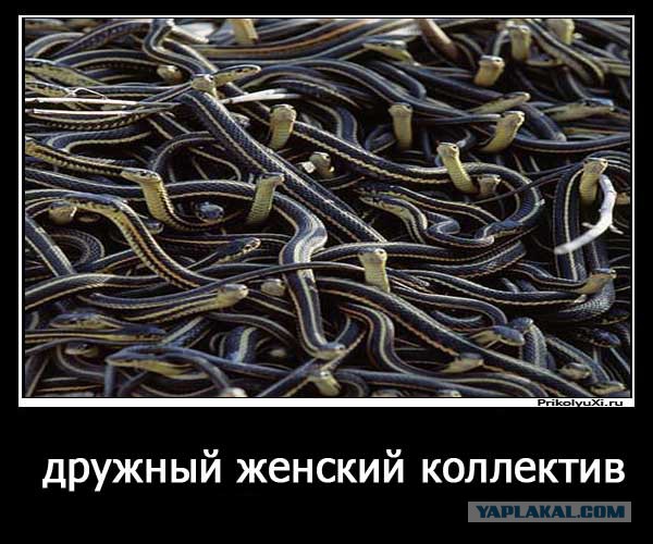 Не поделили клиента
