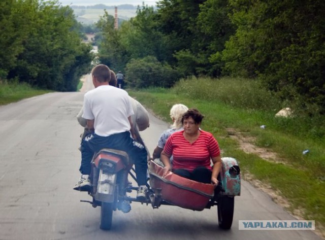 Забавные картинки из Сети