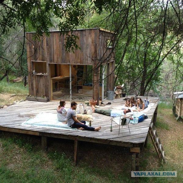 Очередные картинки