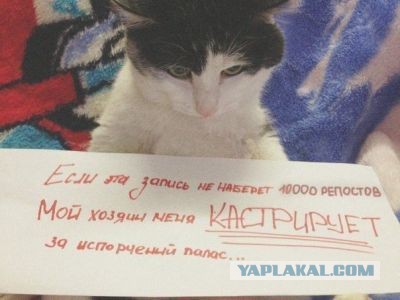 Картинки с буквами -12