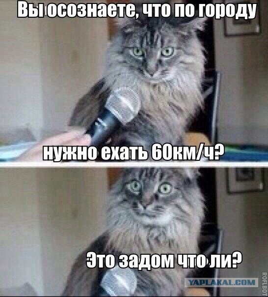 Пятничные картинки