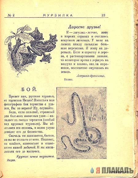 КНИГИ. Прикольные книжки. Библиотека