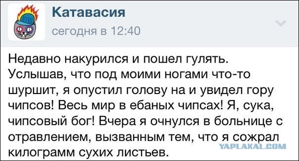 Ужасы и приколы из соцсетей 18+