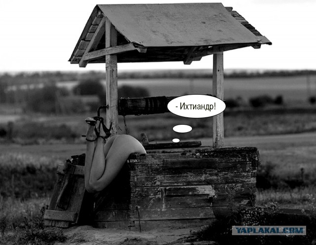 Очередная подборка фоток