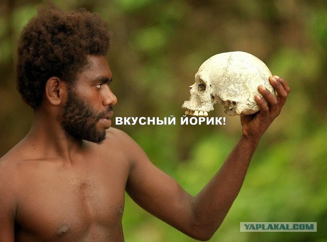 А вы хотели бы пожить с ними?