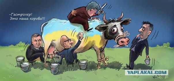Истерика Саакашвили