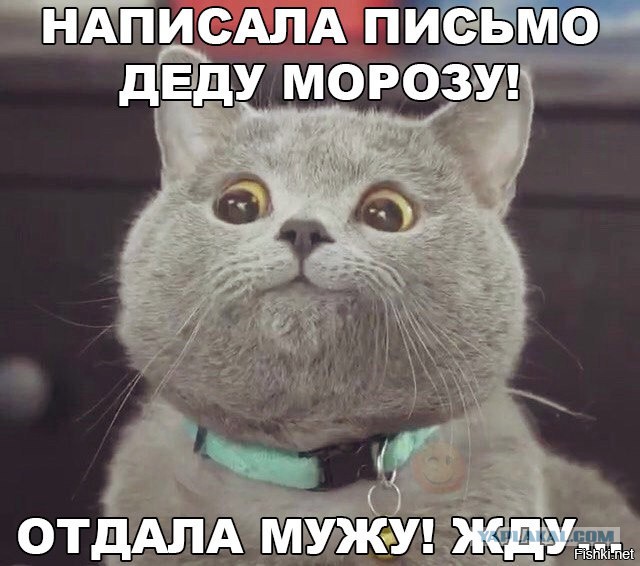 Подборка интересных и веселых картинок