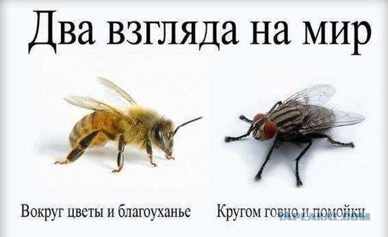 «КАМАЗ» постоянно побеждает на «Дакаре». Почему?
