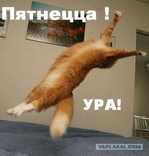 Адский трэш и вакханалия! Строго 16+