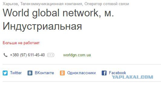 Как я побывал в сетевой пирамиде