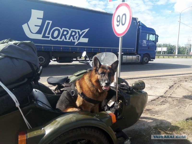 Шанс мотоцикл
