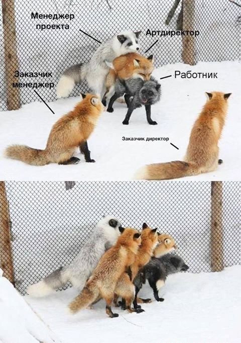 Весёлые картинки
