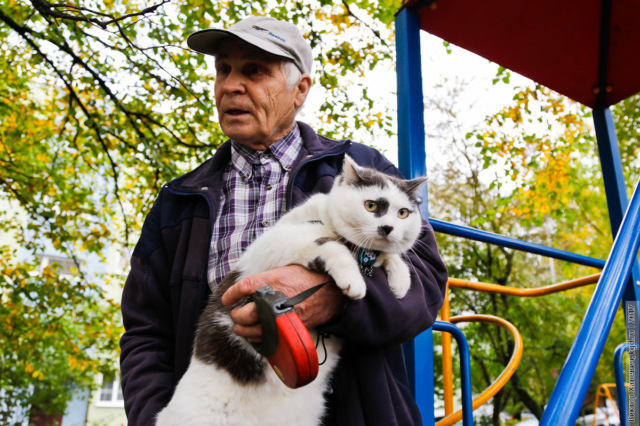 Необычный котик из Калининграда