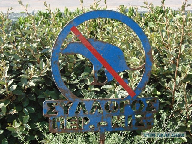Парковка на газоне. Предупреждение водиле