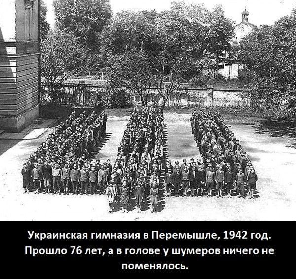 Проклятая «Галичина». Как дивизия СС победила на Украине