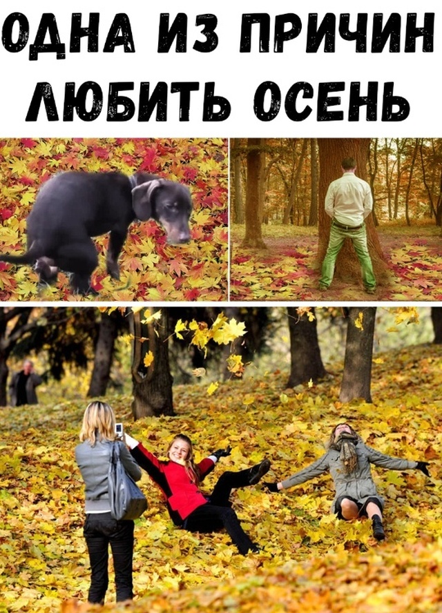 Нестандартный юмор