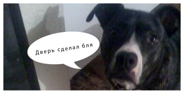 Добрый хозяин