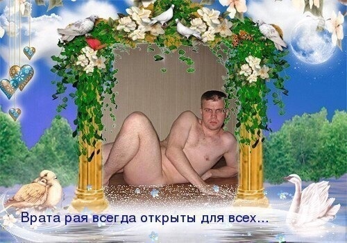 Картинки
