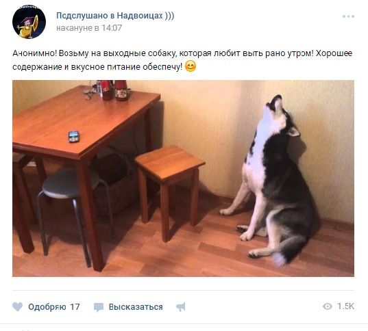 Смешные комментарии из социальных сетей 04.10.19