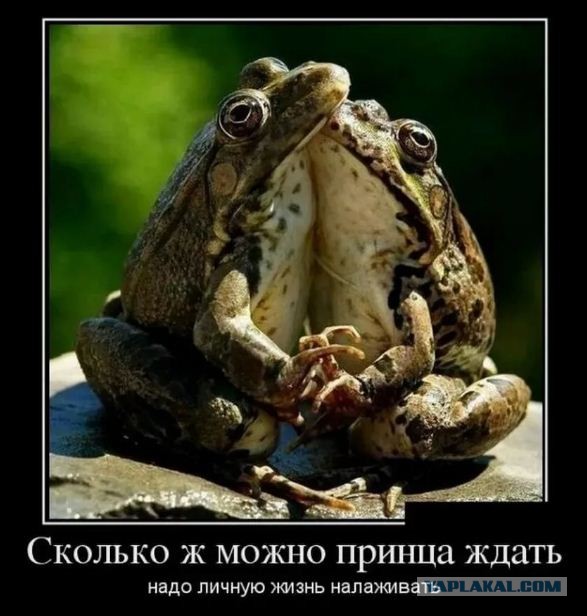 4 звоночка, выдающие женщину, которой нужны только ваши бабки