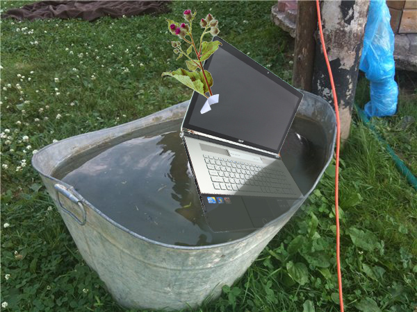 Plantbook