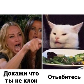 Дополнение к посту о "безотцовщин"  разведенок