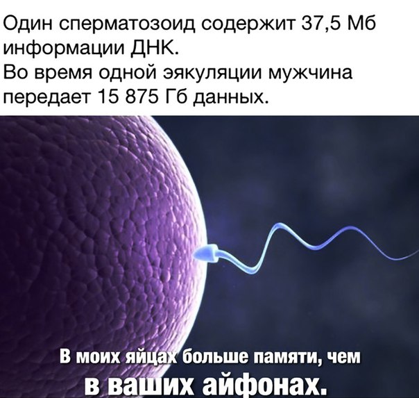 Чуток картинок 20.05.20
