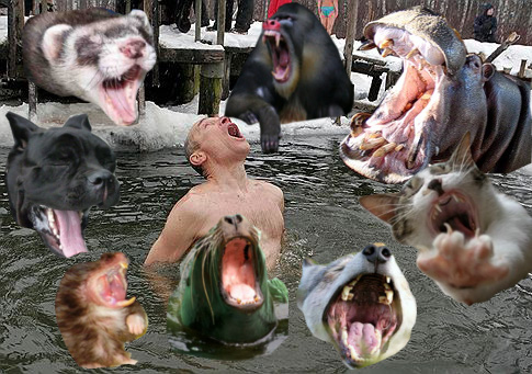 Фотожаба: Отличная водичка!