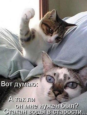 Справедливо ли, что женщины жрут наравне с мужчинами?