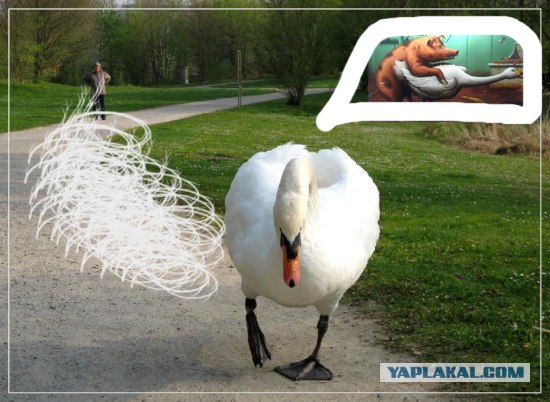 Фотожаба: Я от дедушки ушел, я от бабушки ушел