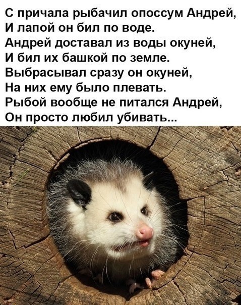 Картинки обо всëм. 07.01.20
