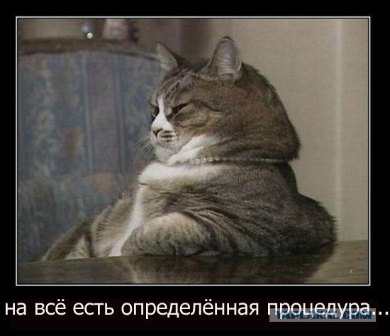 Алексей Навальный против Евгения Федорова