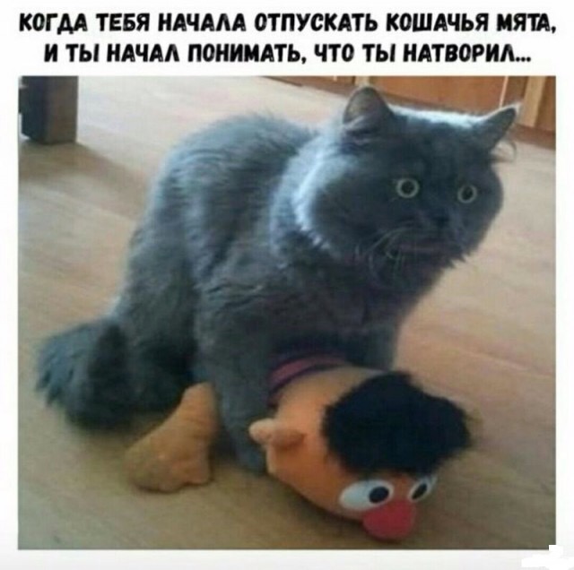 Картинки разные нужны, картинки всякие важны