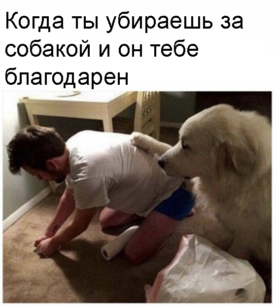 Весёлый полтишок 24.03