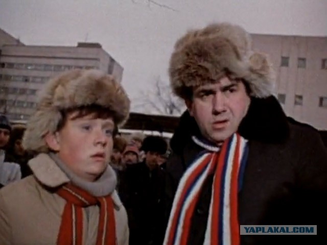 Американка нашла на земле крошечного малыша и забрала его себе. Он вырос и превратился в пушистого красавчика