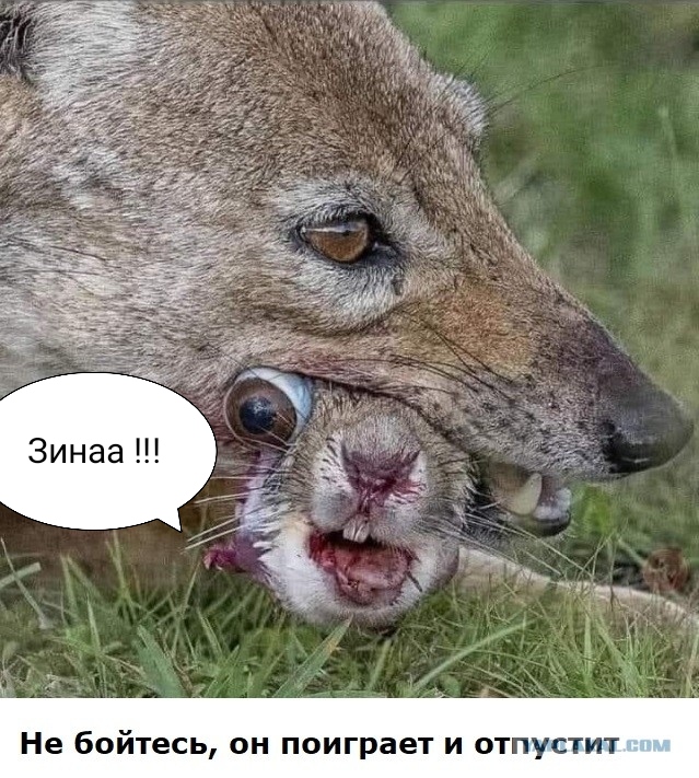 Так себе картинки 1.05.21