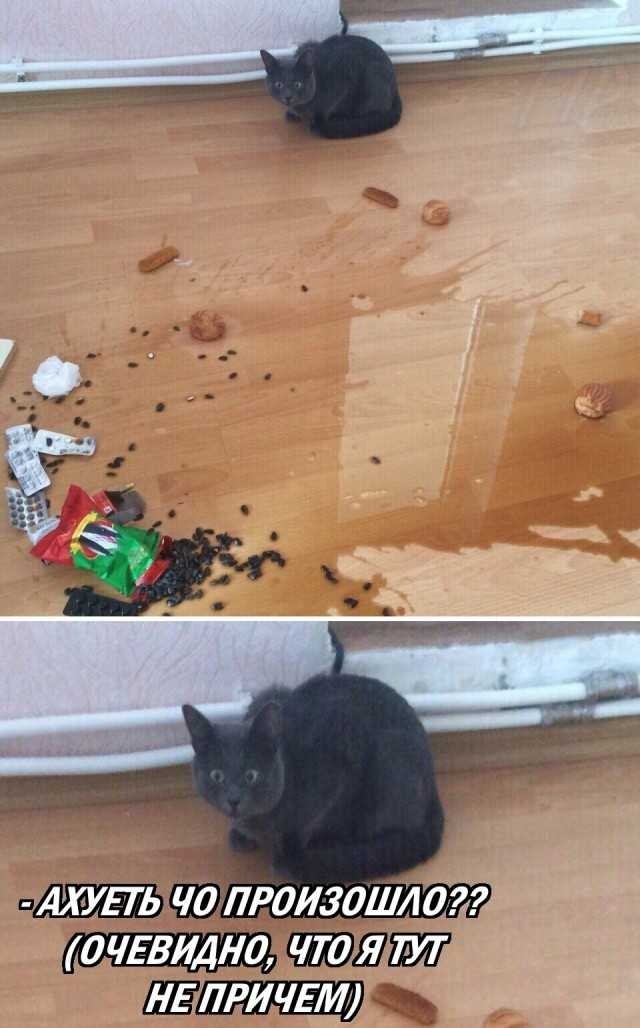 Баяны бабыЯны