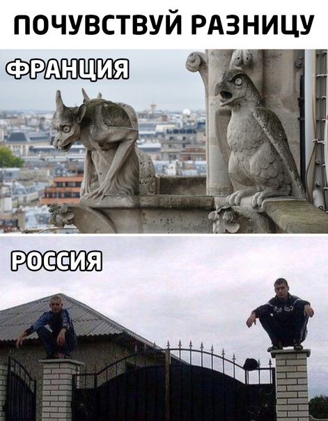 Весёлый полтишок 01.02