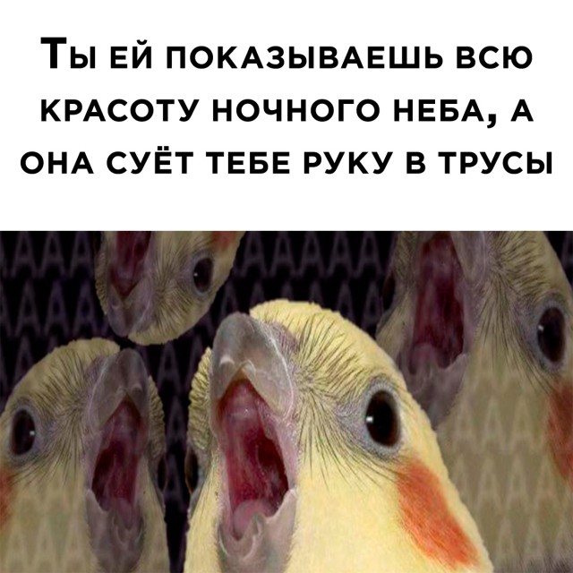 Так себе картинки 07.02.22