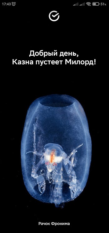 Так себе картинки 19.04.22