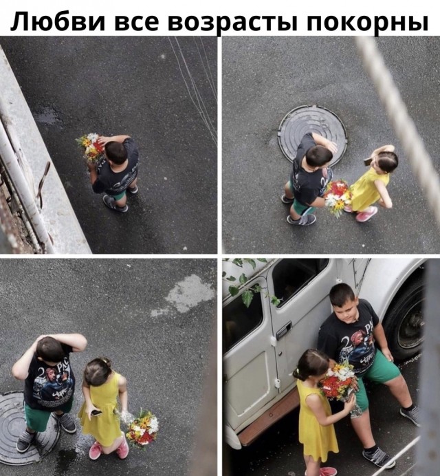 Так себе картинки 27.04.22