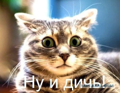 Пацаны встретились перетереть за житуху