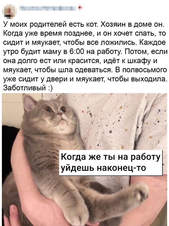 Картинки и мемы для настроения - 11
